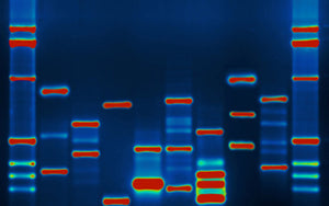 Misunderstanding the genome: a (polite) rantVia Ars Technica...